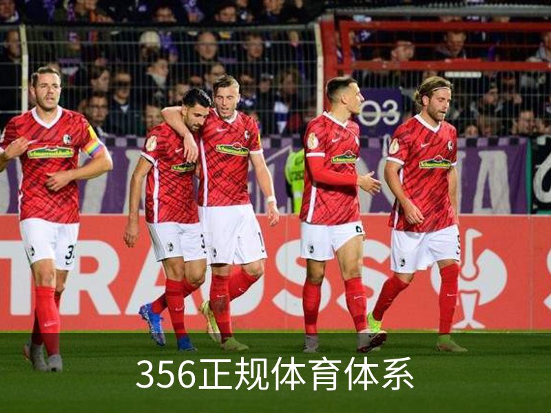 关于356正规体育体系